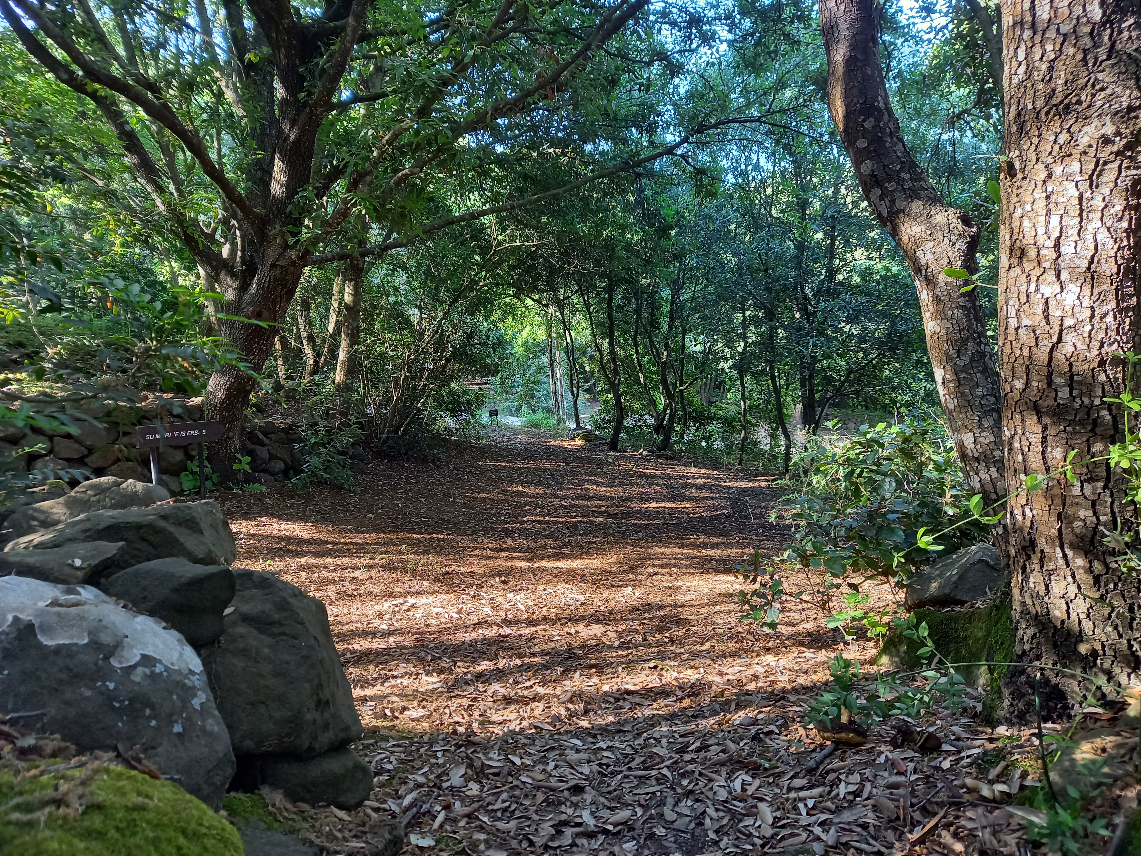 Tutti inclusi al Parco Sa Fogaia
